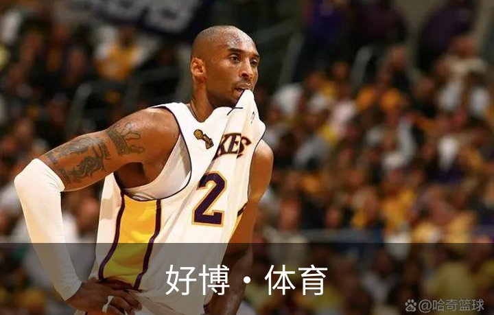 关于好博·体育